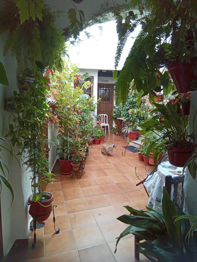 Appartement Arco De La Cobijada à Vejer de la Frontera Extérieur photo